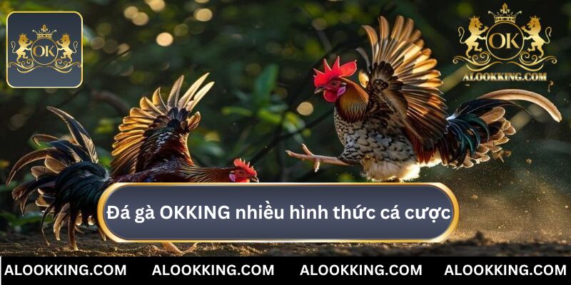 Đá gà OKKING với nhiều hình thức cá cược