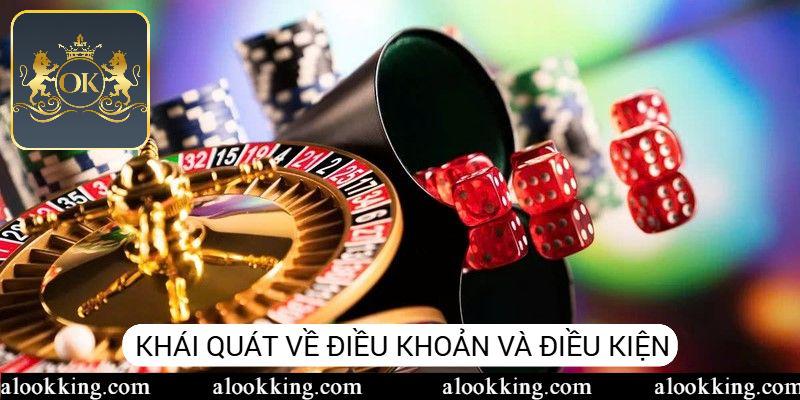 Điều kiện và điều khoản cùng thông tin chung