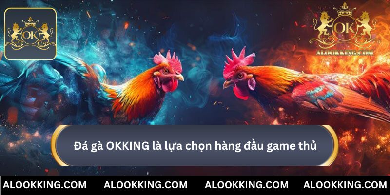 Thương hiệu đá gà OKKING là lựa chọn hàng đầu game thủ